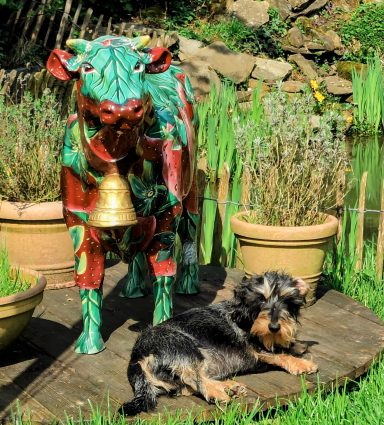 Bunte Kuhskulptur steht neben einem kleinen Hund auf einem Holzsteg.